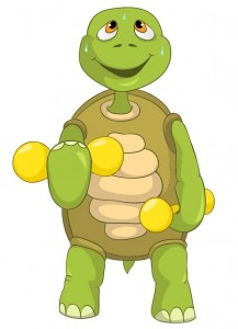 Turttle